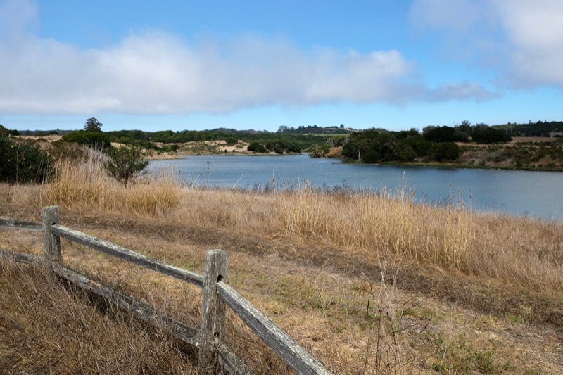 Elkhorn Slough