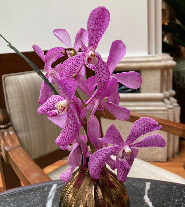 Nancy 90 From Family