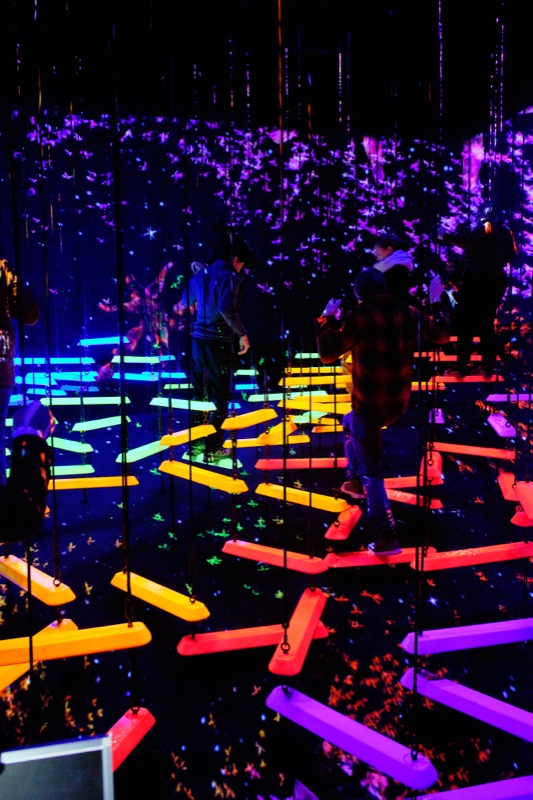 Teamlab Tokyo