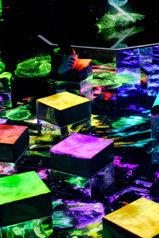 Teamlab Tokyo