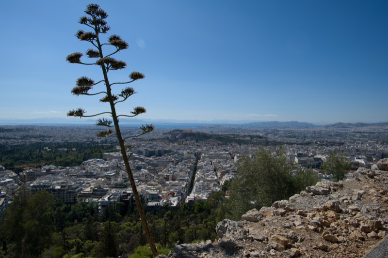 Athens