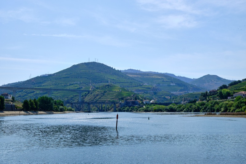 Douro River Cruise