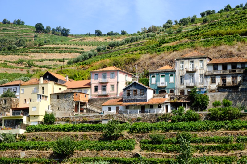 Douro River Cruise