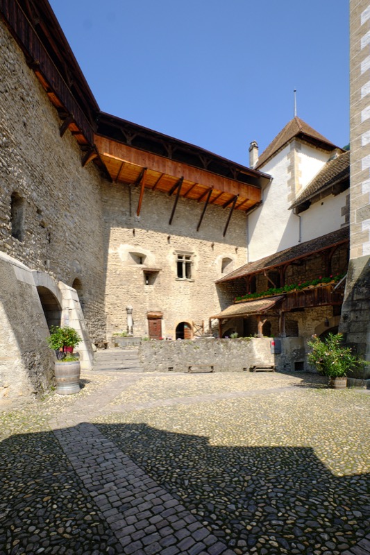 Lac Leman and Chillon Castle