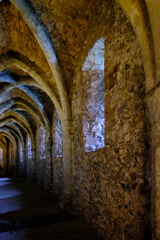 Lac Leman and Chillon Castle