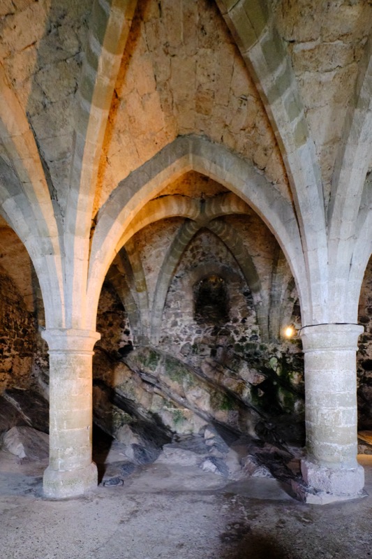 Lac Leman and Chillon Castle