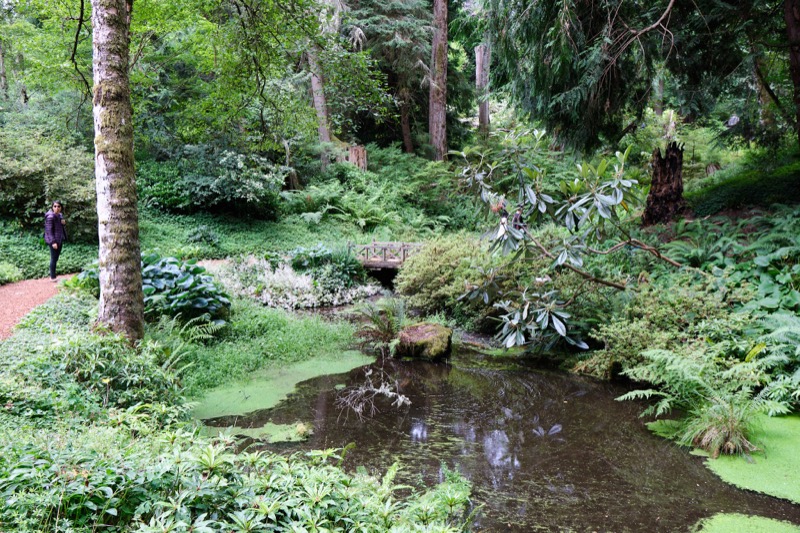Bloedel Reserve