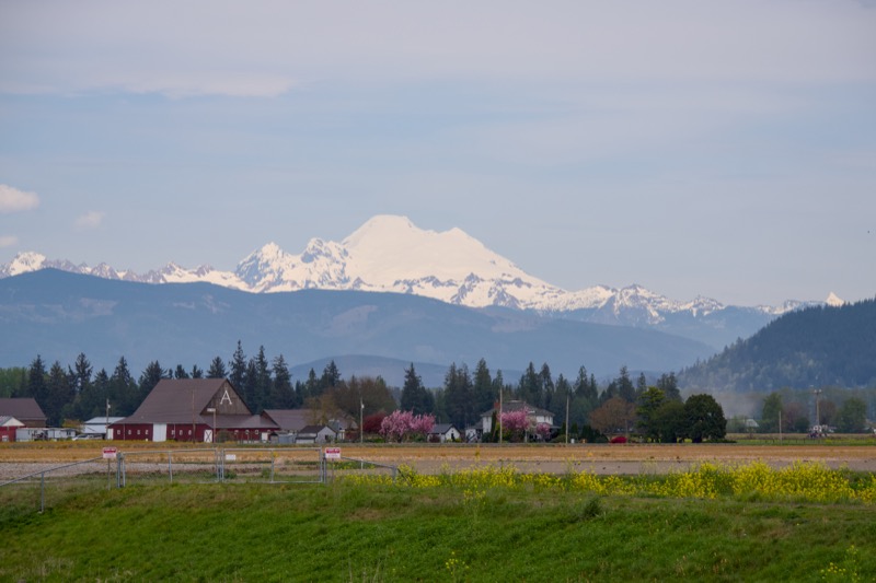 Skagit